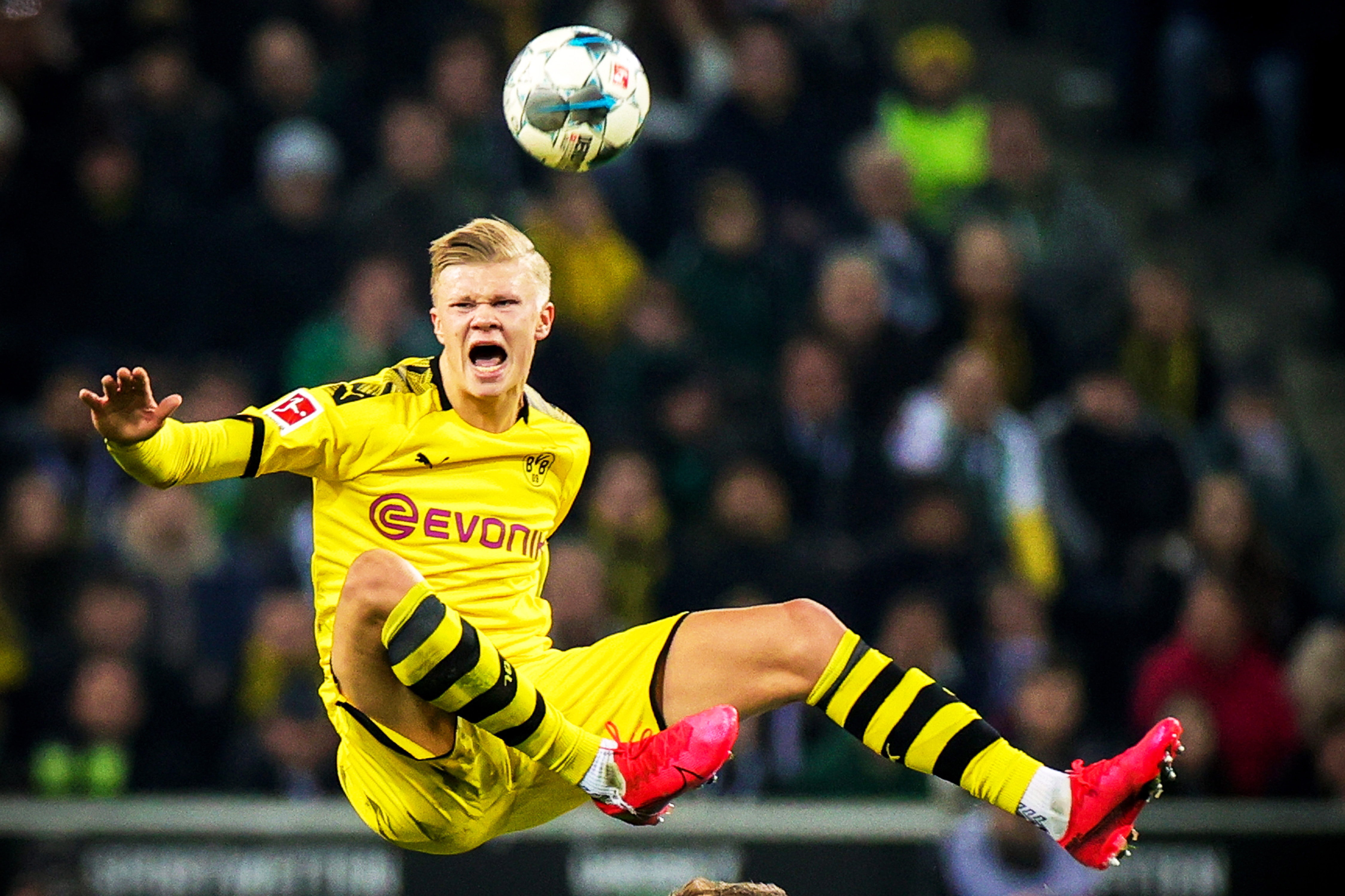 【日职】选秀惊喜连连！软银中签佐佐木麟太郎 阪神击退三队夺立石交涉权｜日本职棒